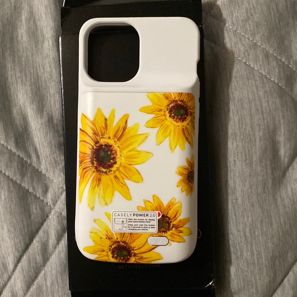 12 pro max charging case